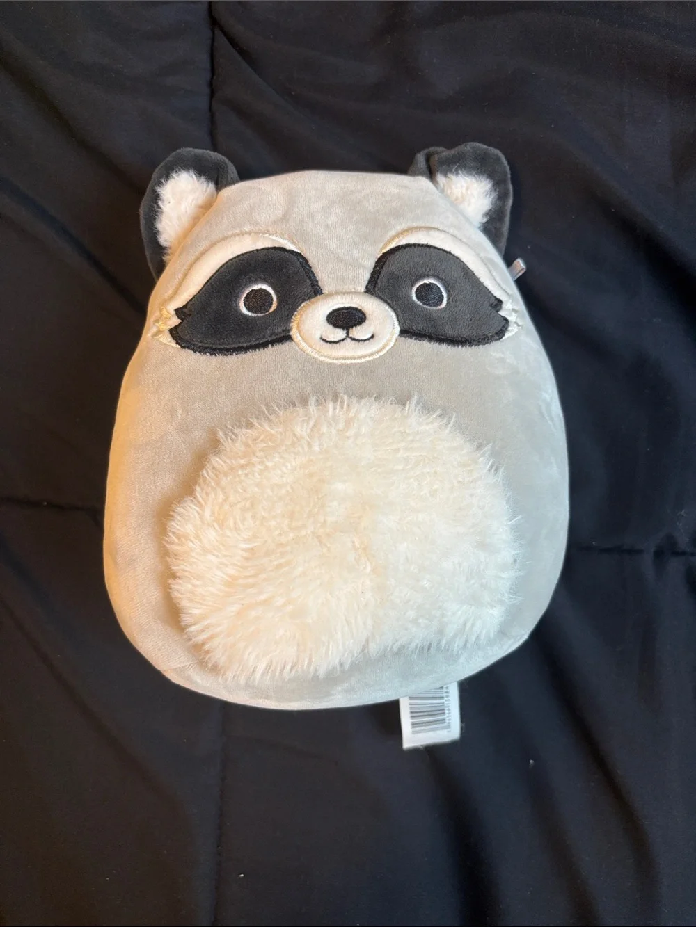 Squishmallow Plush Frog, Raccoon & Avocado dog